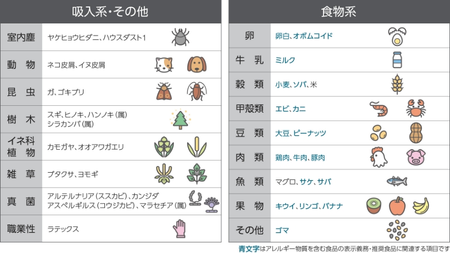 VIEW39検査項目